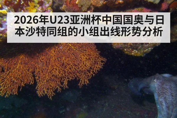 2026年U23亚洲杯中国国奥与日本沙特同组的小组出线形势分析